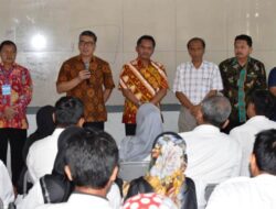 Lulus P3K, Tenaga Honorer K2 Langsung Jadi ASN