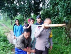 Diduga Kelelahan, Seorang Petani Tewas di Sawah