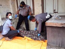 Sedang Cas HP, ABG Tewas Kesetrum