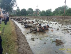 Polres Majalengka Adakan Tradisi Pembaretan Polisi Baru