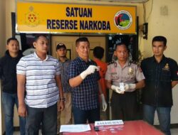 Gajah Pengedar Sabu Dibekuk Polisi