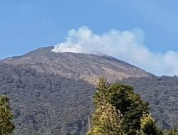 Api Masih Berkobar, TNGC Evakuasi Pendaki dari Puncak Ciremai