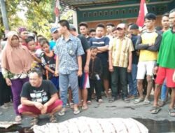 Scoopy vs Truk Adu Bagong, Satu Tewas