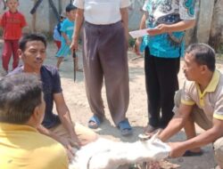 PKB Kuningan Berkurban Empat Ekor Kambing