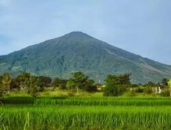 Pemeriksaan PNBP di Kawasan TNGC Bikin Resah