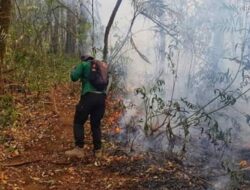 Tim Gabungan Masih Berjibaku Padamkan Api di Lereng Gunung Ciremai
