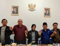 Hengkang dari PDIP, Nasdem Berlabuh ke PPP