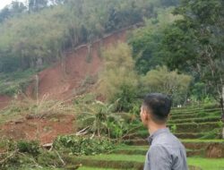 Tanah Longsor Timbun Tiga Hektare Sawah dan Kebun