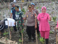 Peduli Lingkungan, Polres Cirebon Kota Tanam Ribuan Bibit Pohon Mangrove