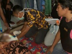 Seorang Kakek Tewas Tertimpa Pohon yang Ditebangnya