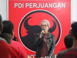 Selly Ungkap Alasan Fraksi PDIP Tolak RUU Ketahanan Keluarga