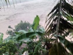 Terendam Banjir, Puluhan Hektare Lahan Pertanian Gagal Panen