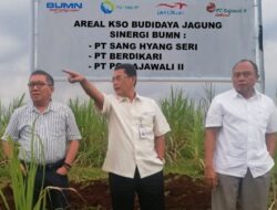 PT PG Rajawali II Dorong Percepatan Program Klaster Pangan