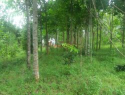 PDP Covid-19 Warga Malausma Meninggal di RSUD Majalengka 