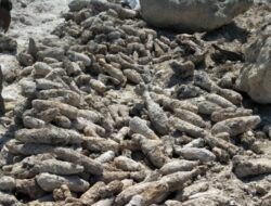 Ratusan Mortir Ditemukan di Tambang Pabrik Semen Palimanan