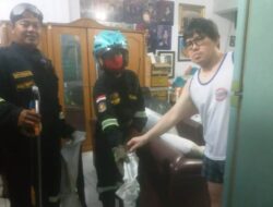 Petugas Damkar Evakuasi Ular Cobra di Rumah Bos Emas