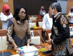 Satori Dorong Pemerintah Awasi Pelaksanaan UU Perkawinan