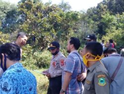 Lansia Ditemukan Tewas Gantung Diri di Pohon