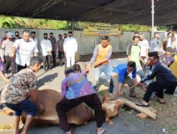 Polres Majalengka Kurban Lima Sapi dan Puluhan Kambing