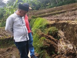 Petani Desa Kertawirama Keluhkan Benih Padi yang Kedaluwarsa