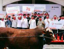 Telkomsel Salurkan Hewan Kurban kepada 43 Ribu Penerima Manfaat