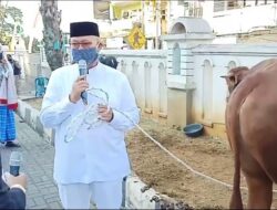 Berkurban, Bupati dan Wabup Rayakan Momen Berbagi di Tengah Pandemi