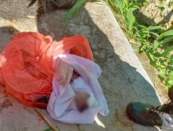 Polisi Buru Pembuang Bayi di Desa Cantilan