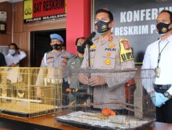 Polres Majalengka Tangkap Penjual Satwa Dilindungi