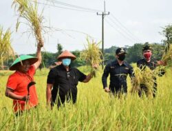 Produksi Beras di Jawa Barat Berkurang