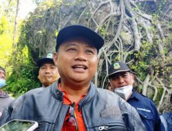 Wagub Jabar Dukung Upaya Pelestarian Tanaman Kopi