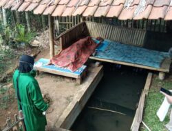 Kelelahan, Petani Meregang Nyawa di Saung