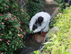 Sempat Pingsan, Warga Sidapurna Ditemukan Tewas di Saluran Irigasi