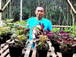 Bertahan di Tengah Pandemi, MC Banting Setir Jadi Pengusaha Bunga