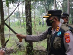 Sejumlah Satwa Langka Dilepas ke Alam Bebas