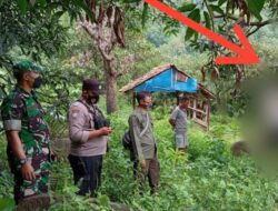 Diduga Depresi, Petani Majalengka Gantung Diri di Pohon Mangga