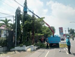 DPRKP Upayakan Maksimal Tangani Pohon Rawan Tumbang