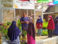 Green House Kelurahan Kesenden Bakal Jadi Pusat Sumber Daya Pangan dan Ekonomi