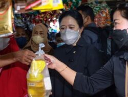 Larangan Ekspor Sawit Indonesia Berdampak pada Perekonomian Global