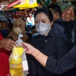 Pelarangan Ekspor Sawit Indonesia Berdampak pada Perekonomian Global