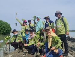 Fisip UMC Ikuti Tanam Mangrove Bersama di Ambulu