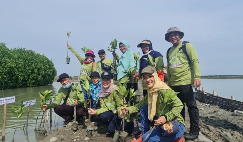 Fisip UMC Ikuti Tanam Mangrove Bersama di Ambulu