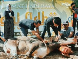 CSB Mall Salurkan Sembilan Hewan Kurban