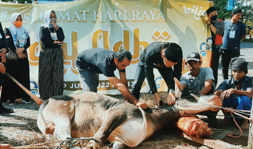 CSB Mall Salurkan Sembilan Hewan Kurban