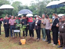Menko PMK RI Tanam 10 Juta Pohon di Majalengka