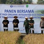 Desa Bantaragung Panen Demplot Padi Organik Intergrated Eco-Farming