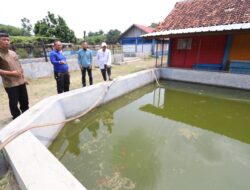 DKPPP Upayakan Bisa Penuhi Kebutuhan Benih Ikan di Kota Cirebon
