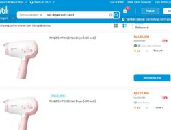 Rekomendasi 5 Hair Dryer Low Watt, Praktis dan Aman