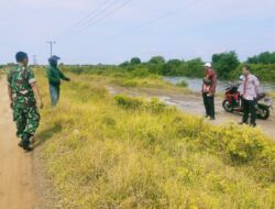 Program BSMSS 2023 akan Berlangsung di Desa Cemara Kulon