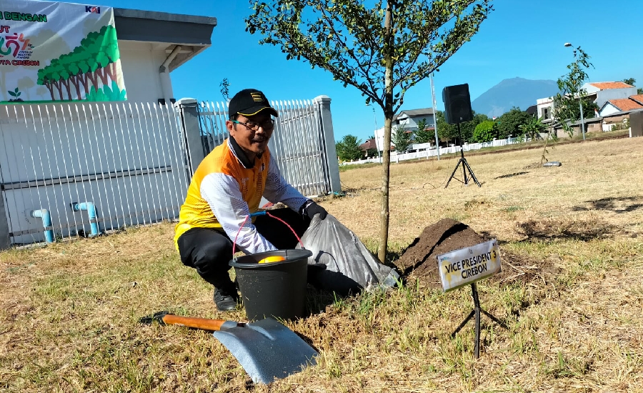 Hijaukan Kota Cirebon, KAI Tanam 654 Pohon