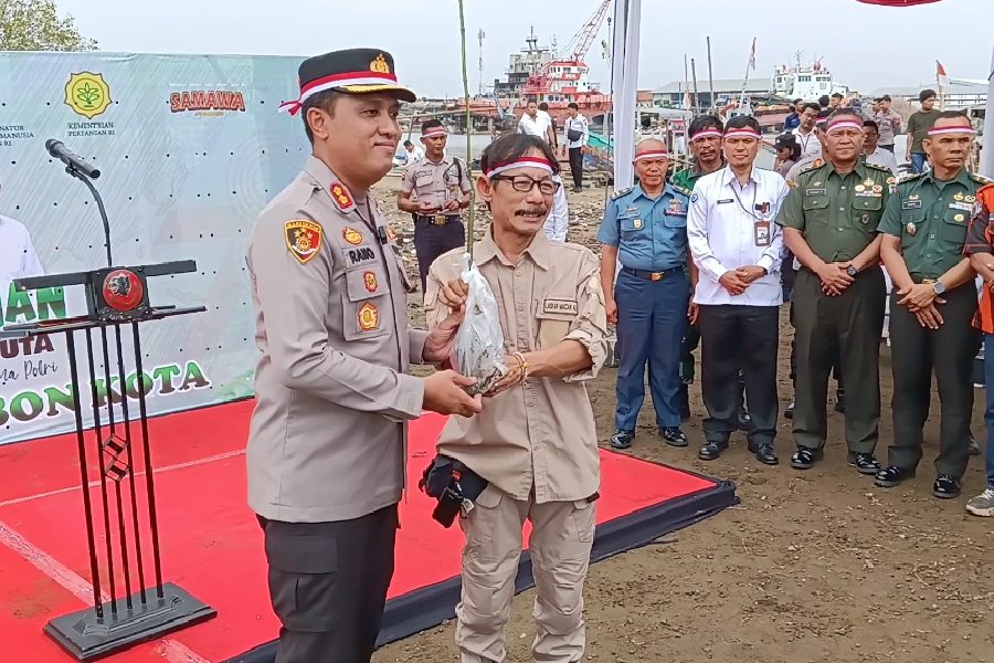 Laskar Macan Ali Dukung Penanaman Pohon Mangrove